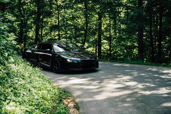 Scoprendo il Mondo degli Animali Domestici